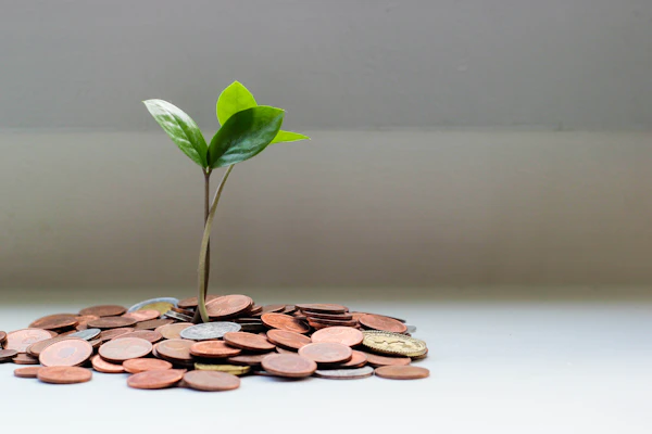 Revisión de estado financiero personal